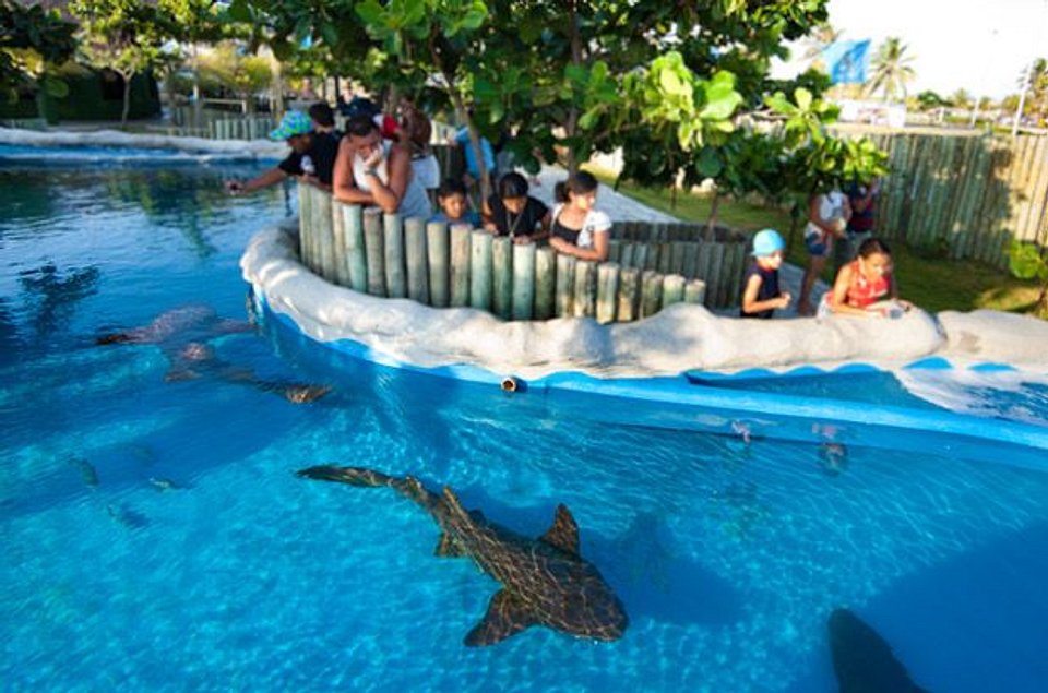 PROJETO TAMAR - OCEANÁRIO DE ARACAJU