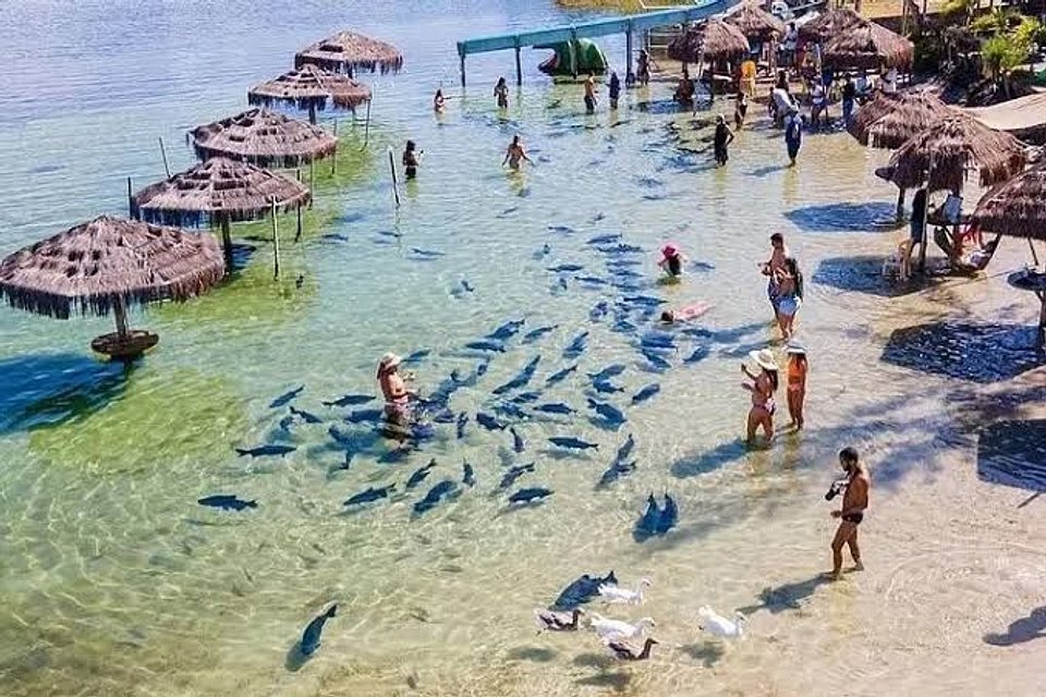 LAGOA DOS TAMBAQUIS: uma experiência inesquecível em Sergipe